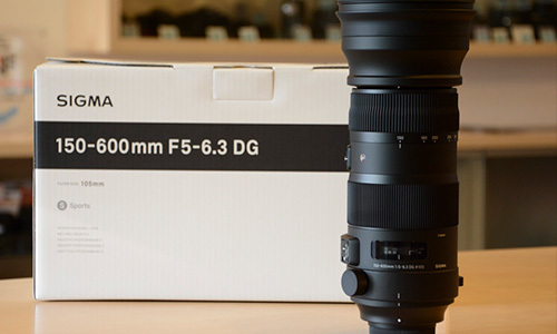 لنز سیگما Sigma 150-600mm f/5-6.3 DG OS HSM Sports Nikon Mount