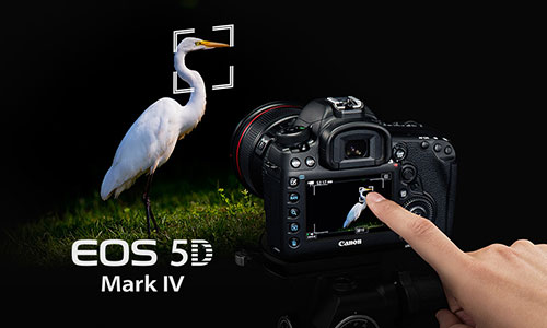 دوربین کانن 5D Mark IV با لنز 24-105