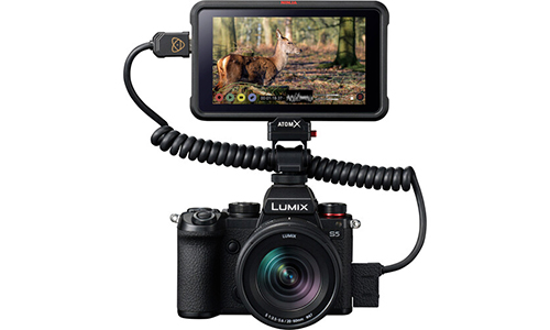 دوربین پاناسونیک Lumix S5